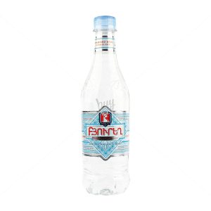 Вода Бюрег 0,5 л